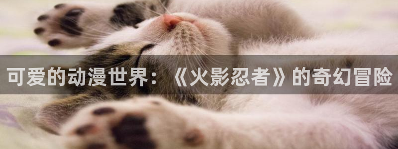 动漫查找：可爱的动漫世界：《火影忍者》的奇幻冒险