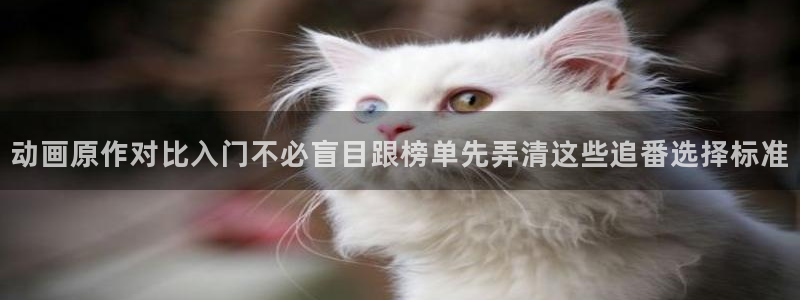 国漫推荐：动画原作对比入门不必盲目跟榜单先弄清这些追番选择标准