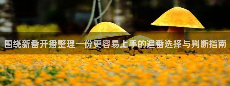 动漫更新列表：围绕新番开播整理一份更容易上手的追番选择与判断指南