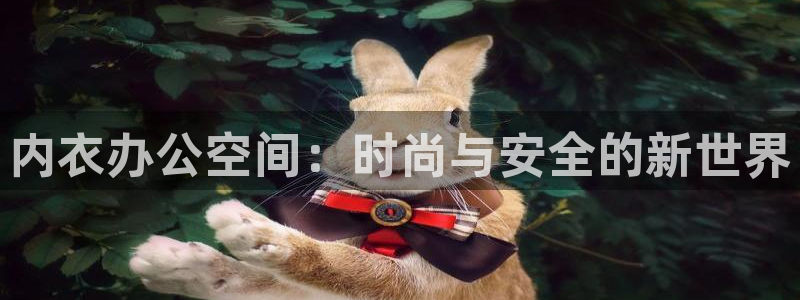 热门动漫网站：内衣办公空间：时尚与安全的新世界