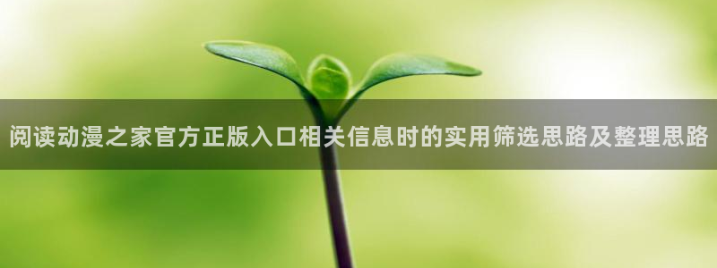 热门动漫资讯：阅读动漫之家官方正版入口相关信息时的实用筛选思路及整理思路