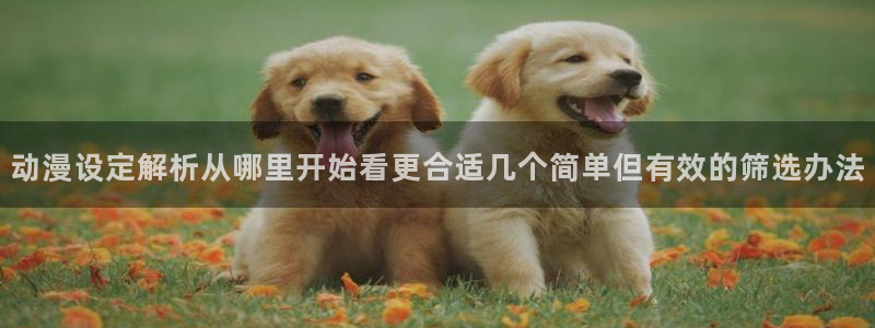 动漫网首页入口：动漫设定解析从哪里开始看更合适几个简单但有效的筛选办法