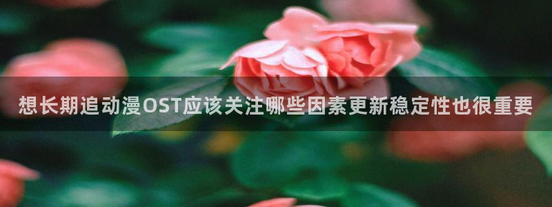 动漫网站入口:想长期追动漫OST应该关注哪些因素更新稳定性也很重要