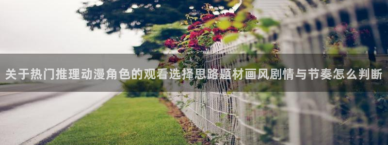 新番动画大全：关于热门推理动漫角色的观看选择思路题材画风剧情与节奏怎么判断