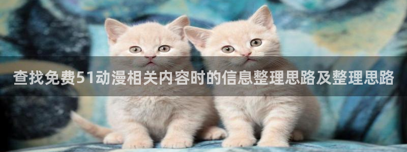 战斗动漫:查找免费51动漫相关内容时的信息整理思路及整理思路